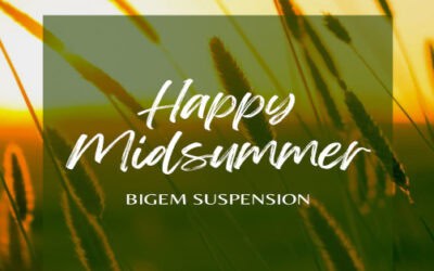 Serving through the summer at Bigem